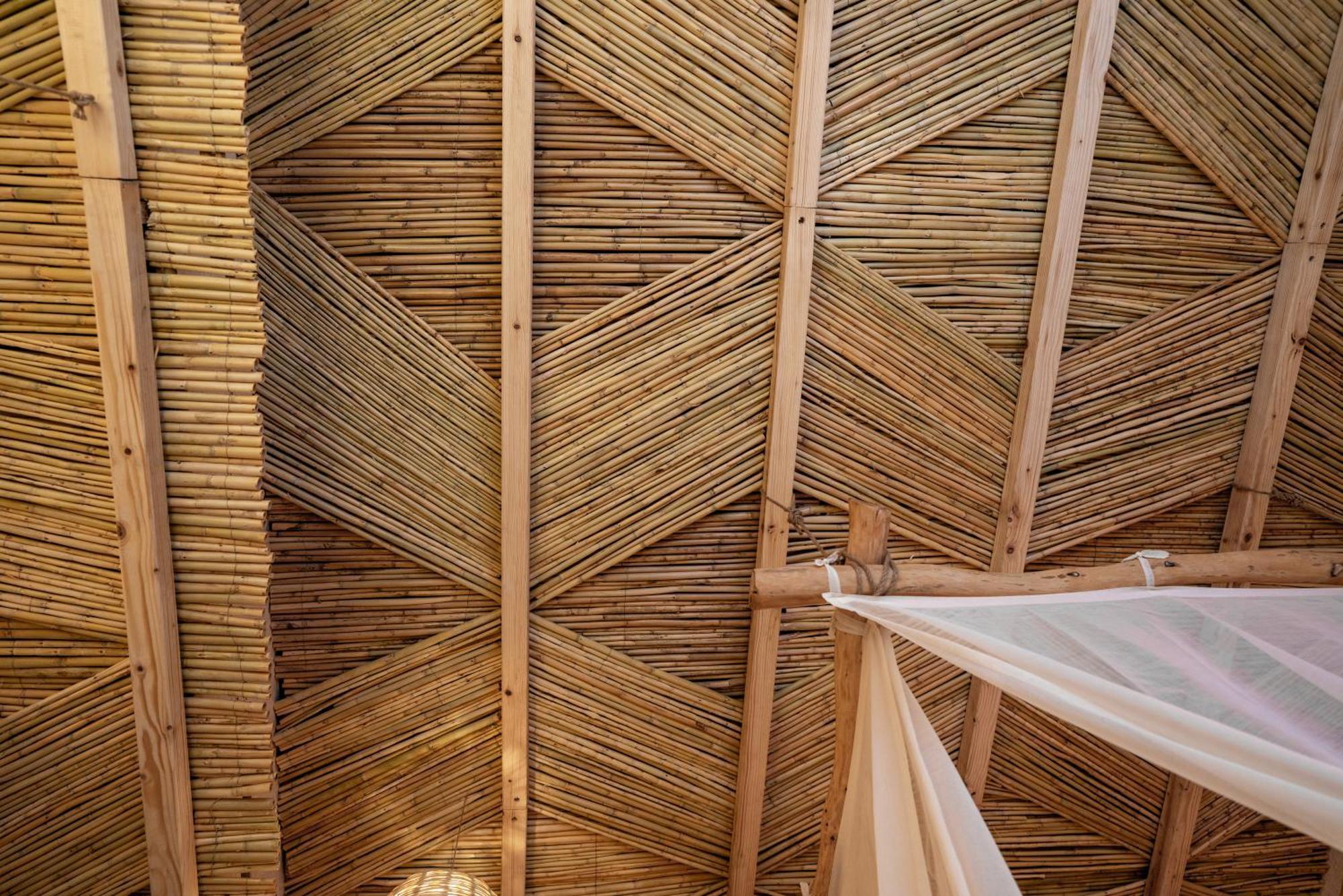 Biophilia Luxury Lofts Apartment Beirut Cameră foto